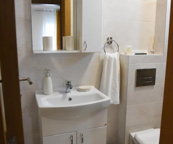 Millenium * Soko Banja