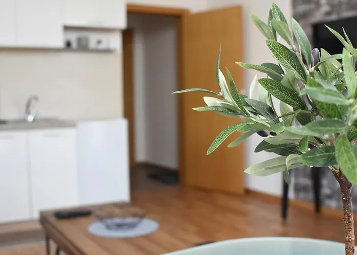 Appartement Millenium *